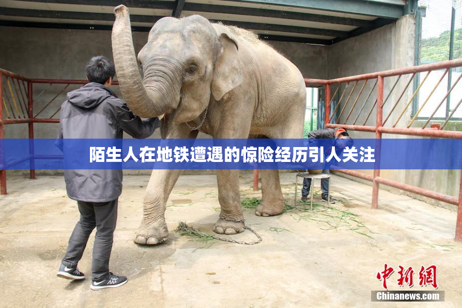 陌生人在地铁遭遇的惊险经历引人关注