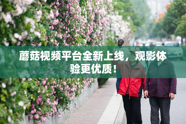 蘑菇视频平台全新上线，观影体验更优质！