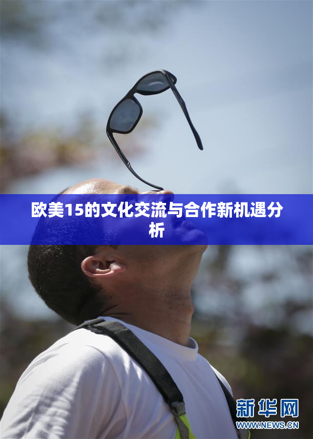 欧美15的文化交流与合作新机遇分析