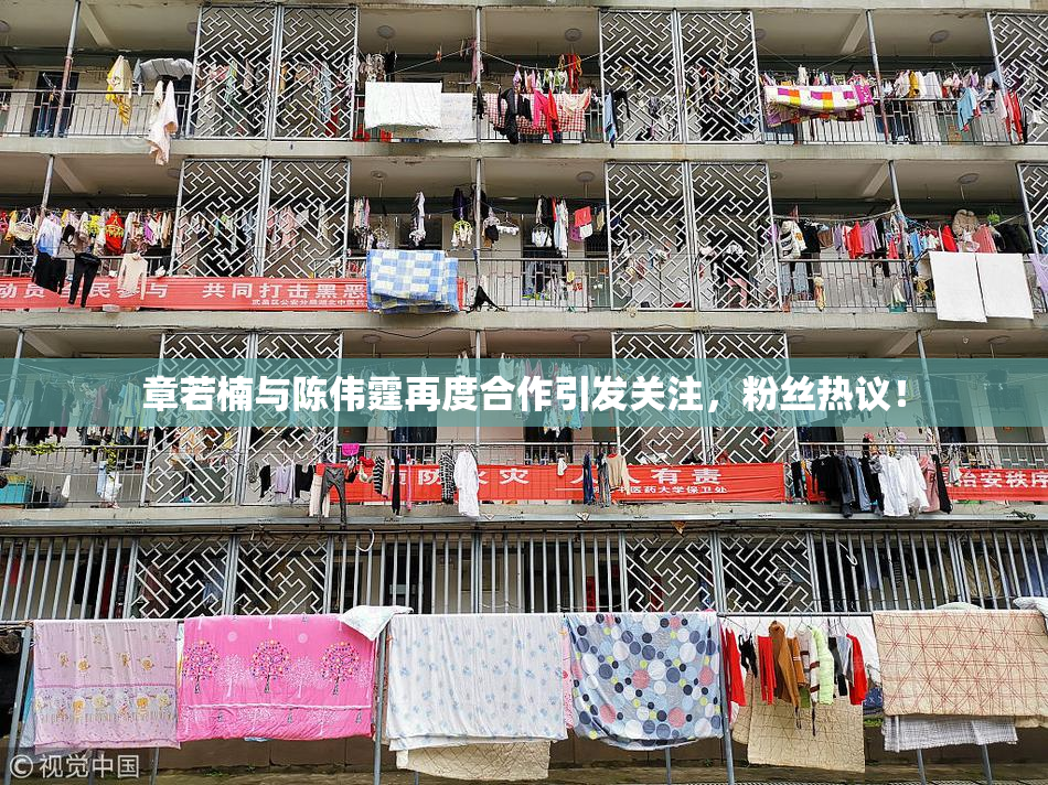 章若楠与陈伟霆再度合作引发关注，粉丝热议！