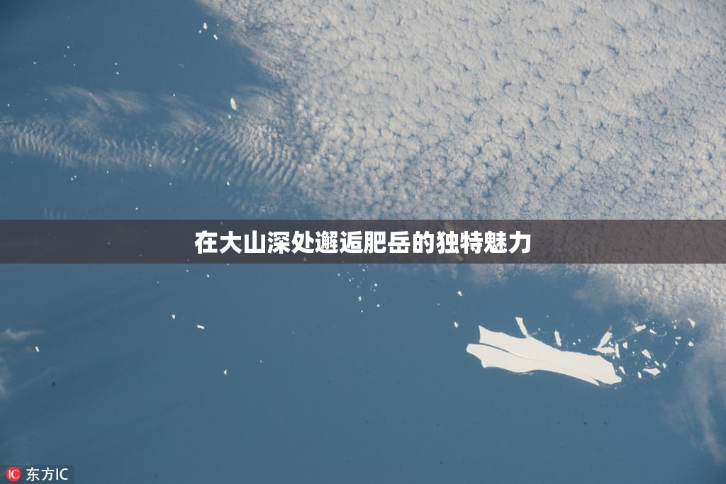 在大山深处邂逅肥岳的独特魅力