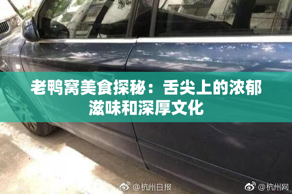 老鸭窝美食探秘：舌尖上的浓郁滋味和深厚文化