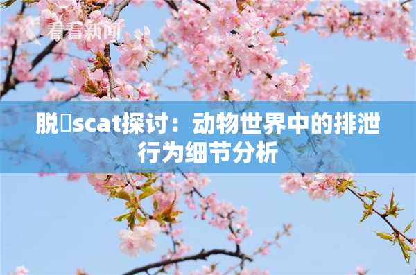 脱糞scat探讨：动物世界中的排泄行为细节分析