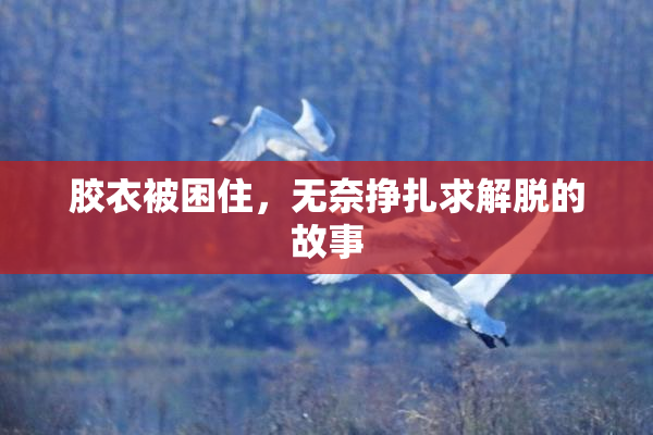 胶衣被困住，无奈挣扎求解脱的故事
