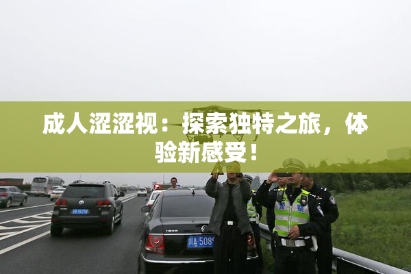 成人涩涩视：探索独特之旅，体验新感受！