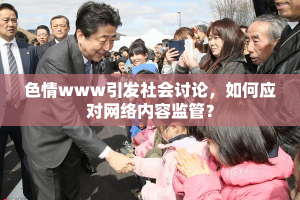 色情www引发社会讨论，如何应对网络内容监管？