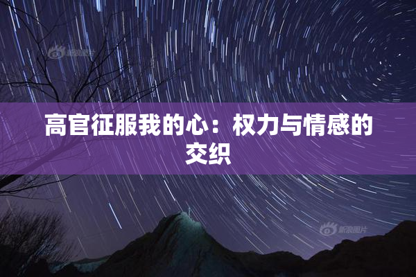 高官征服我的心：权力与情感的交织