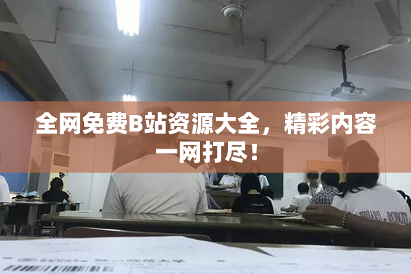 全网免费B站资源大全，精彩内容一网打尽！