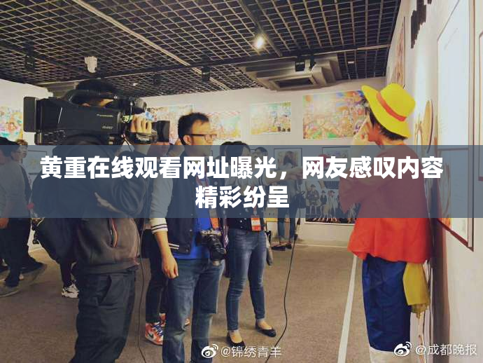 黄重在线观看网址曝光，网友感叹内容精彩纷呈