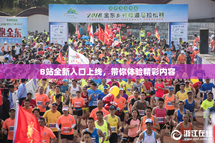 B站全新入口上线，带你体验精彩内容