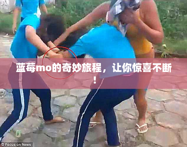 蓝莓mo的奇妙旅程，让你惊喜不断！