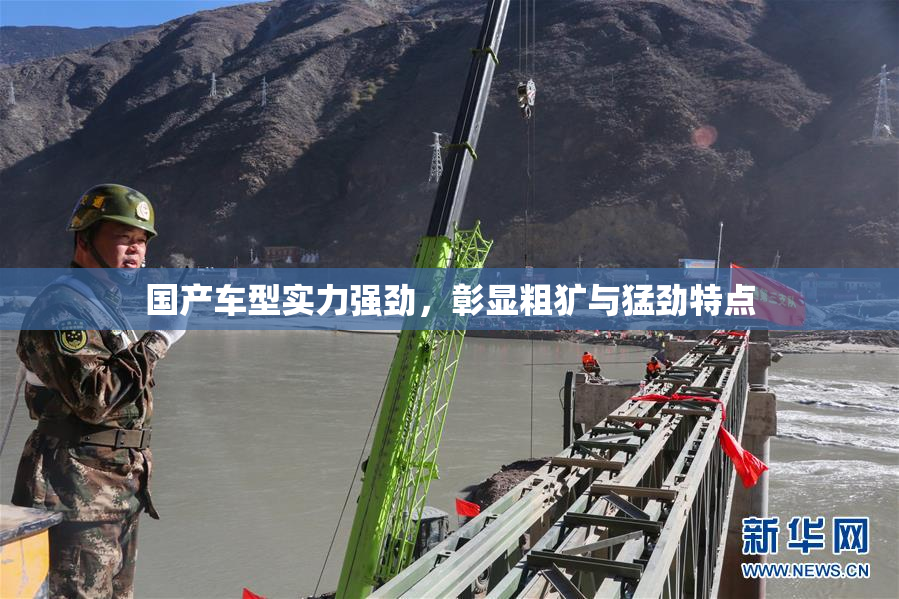 国产车型实力强劲，彰显粗犷与猛劲特点