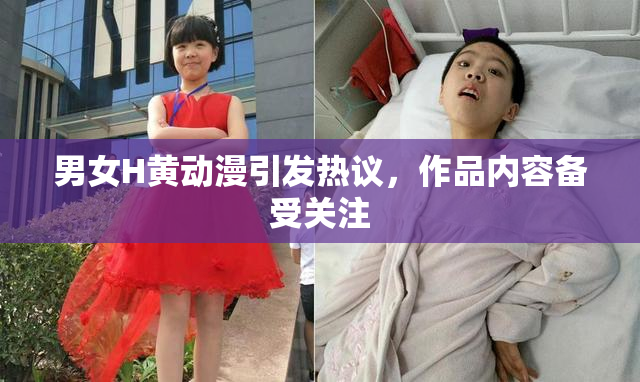 男女H黄动漫引发热议，作品内容备受关注