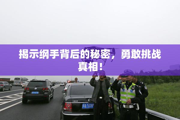 揭示纲手背后的秘密，勇敢挑战真相！