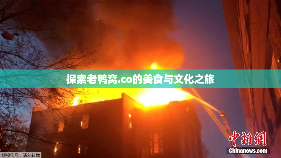 探索老鸭窝.co的美食与文化之旅