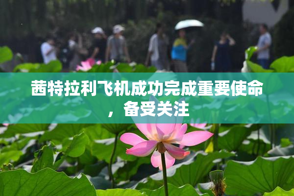 茜特拉利飞机成功完成重要使命，备受关注