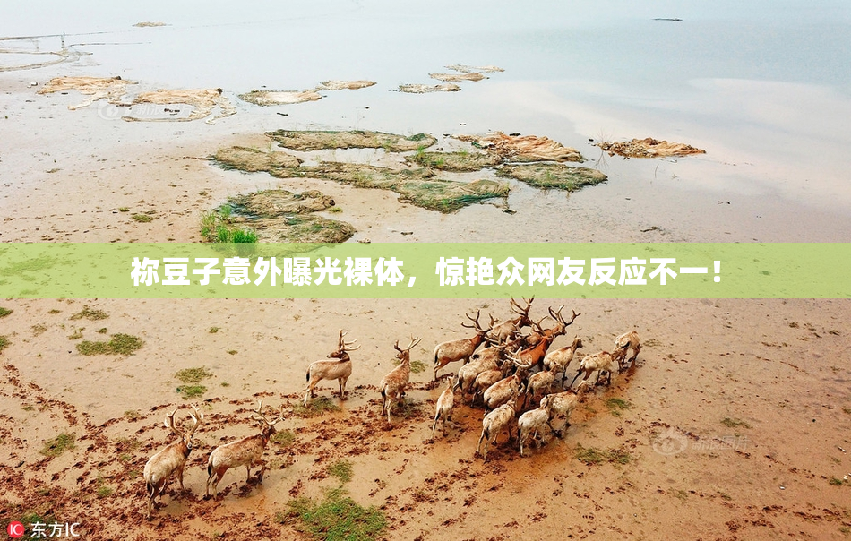祢豆子意外曝光裸体，惊艳众网友反应不一！