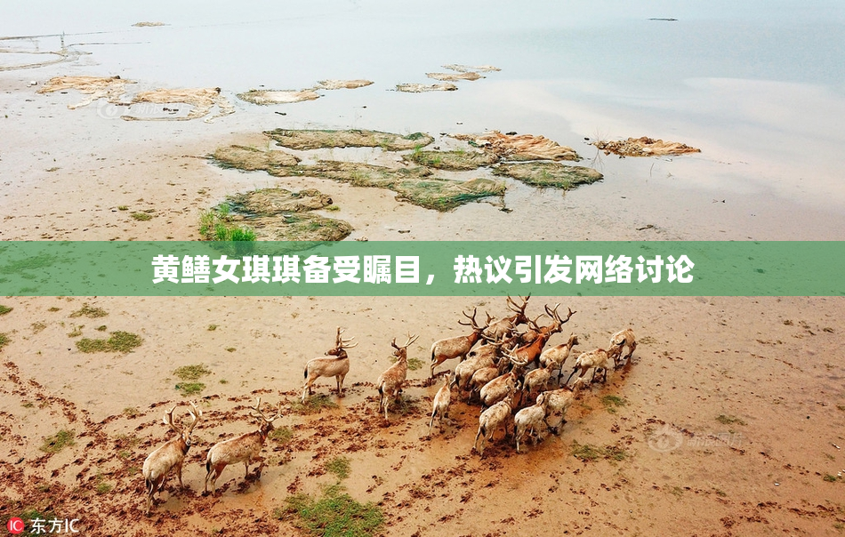黄鳝女琪琪备受瞩目，热议引发网络讨论