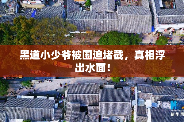 黑道小少爷被围追堵截，真相浮出水面！