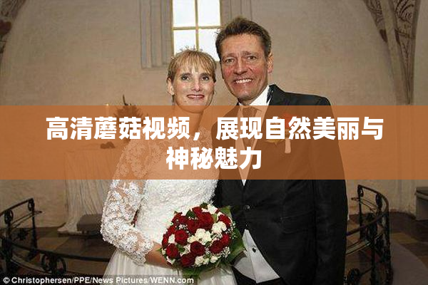 高清蘑菇视频，展现自然美丽与神秘魅力