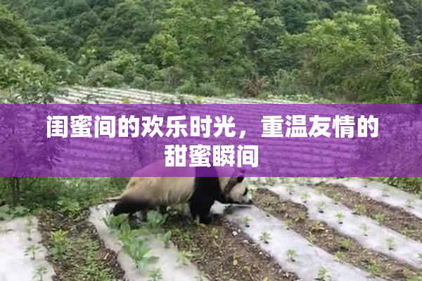 闺蜜间的欢乐时光，重温友情的甜蜜瞬间