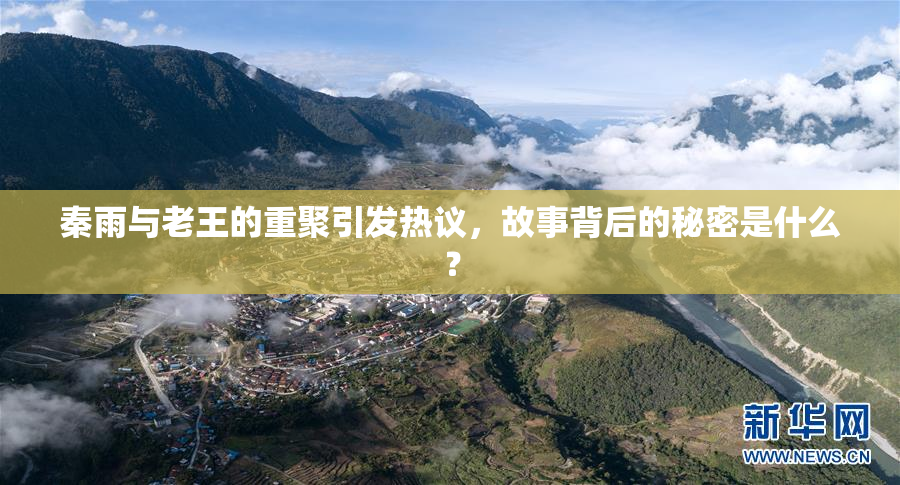 秦雨与老王的重聚引发热议，故事背后的秘密是什么？