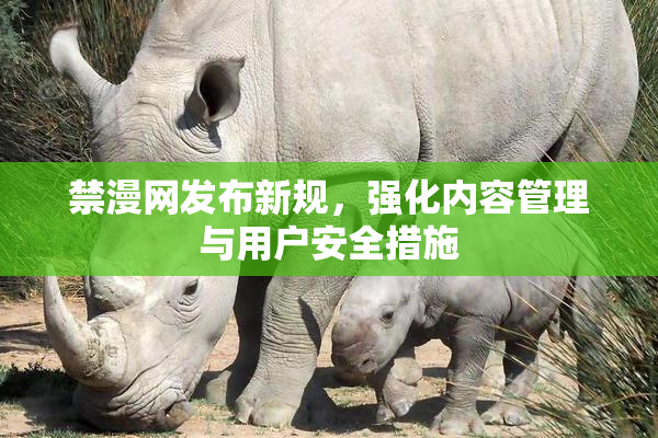 禁漫网发布新规，强化内容管理与用户安全措施