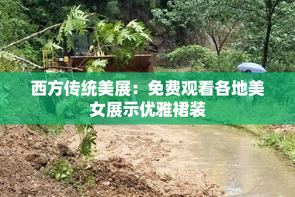 西方传统美展：免费观看各地美女展示优雅裙装