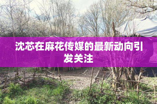 沈芯在麻花传媒的最新动向引发关注