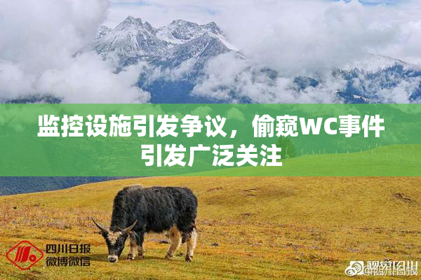 监控设施引发争议，偷窥WC事件引发广泛关注