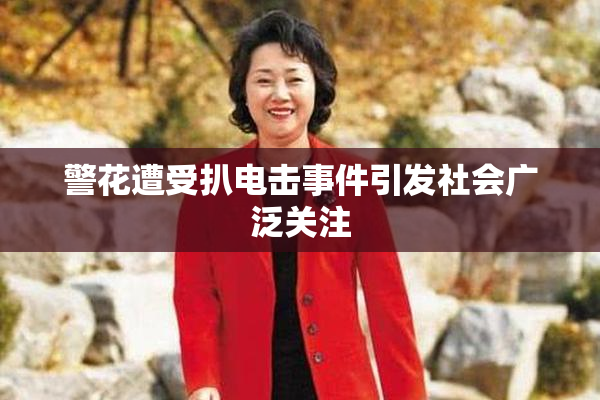 警花遭受扒电击事件引发社会广泛关注