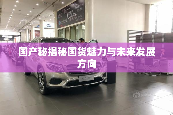 国产秘揭秘国货魅力与未来发展方向