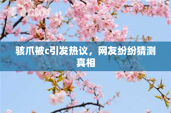 骇爪被c引发热议，网友纷纷猜测真相