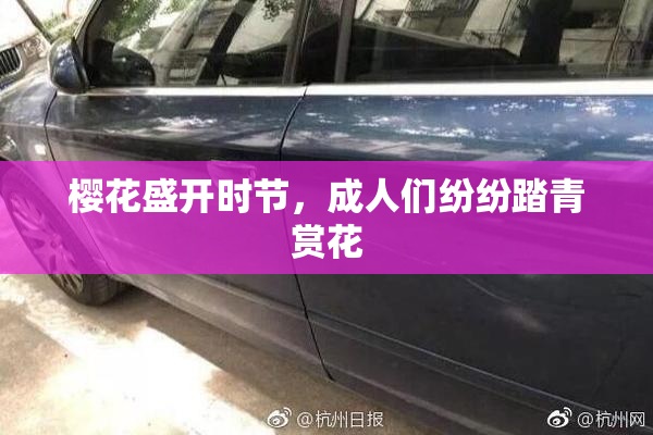 樱花盛开时节，成人们纷纷踏青赏花