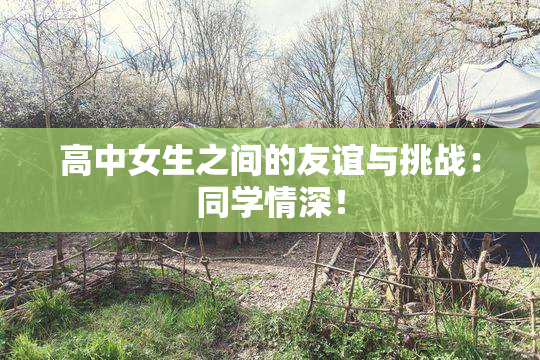 高中女生之间的友谊与挑战：同学情深！