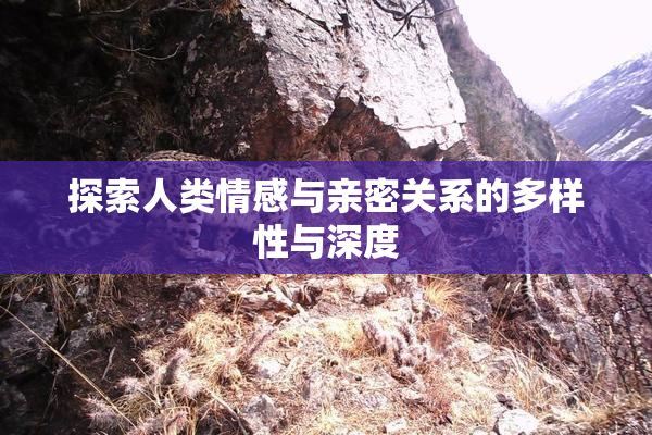 探索人类情感与亲密关系的多样性与深度