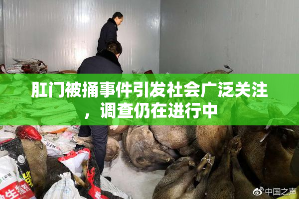 肛门被捅事件引发社会广泛关注，调查仍在进行中