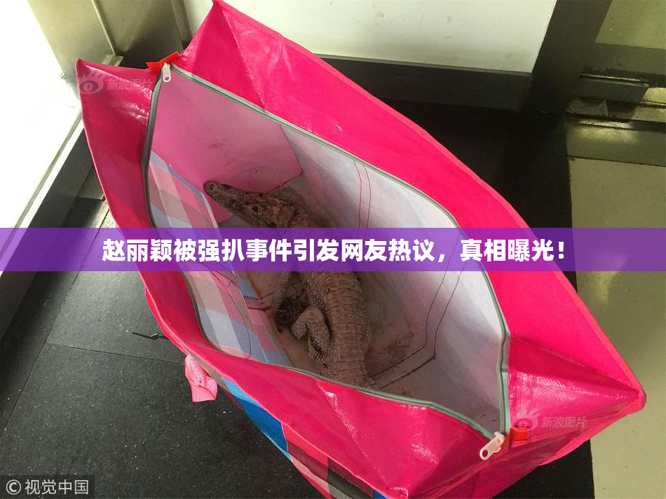 赵丽颖被强扒事件引发网友热议，真相曝光！