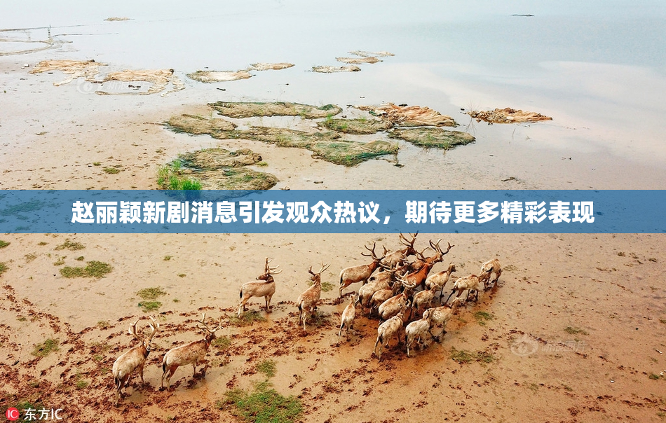 赵丽颖新剧消息引发观众热议，期待更多精彩表现