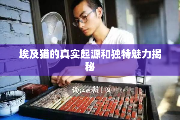 埃及猫的真实起源和独特魅力揭秘
