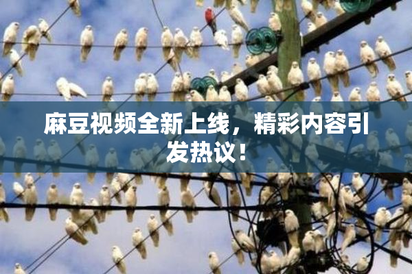 麻豆视频全新上线，精彩内容引发热议！