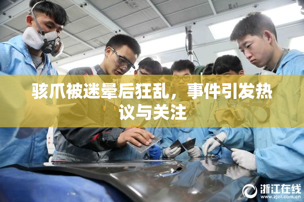 骇爪被迷晕后狂乱，事件引发热议与关注