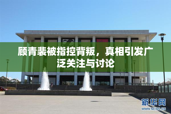 顾青裴被指控背叛，真相引发广泛关注与讨论