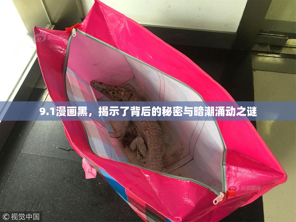 9.1漫画黑，揭示了背后的秘密与暗潮涌动之谜