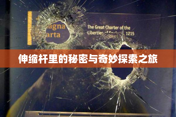 伸缩杆里的秘密与奇妙探索之旅