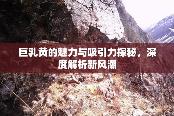 巨乳黄的魅力与吸引力探秘，深度解析新风潮