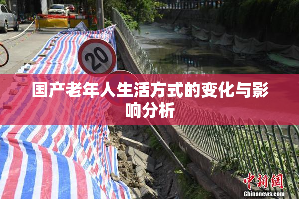 国产老年人生活方式的变化与影响分析