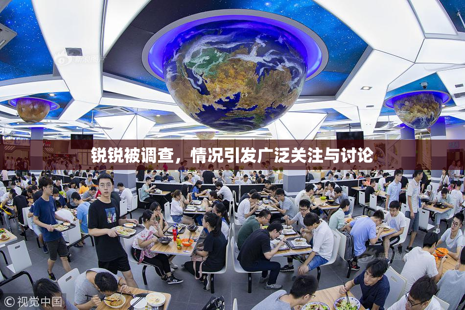 锐锐被调查，情况引发广泛关注与讨论