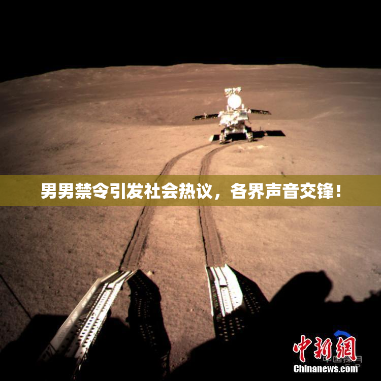 男男禁令引发社会热议，各界声音交锋！