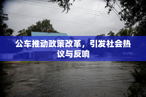 公车推动政策改革，引发社会热议与反响